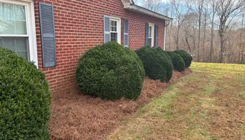 Lawn Maintenance for Palmetto State Landscaping in Gaffney, SC