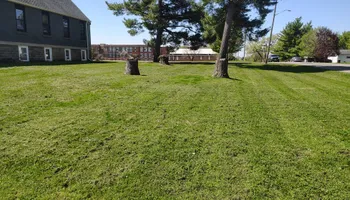 Tree Removal for Big River lawn Care services and snow LLC in Wausau, WI
