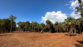 Land Clearing for McLeran in Naples, FL