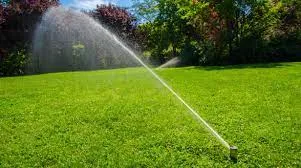 Land Clearing for Mark Howard & Sons Logging & Excavating in Athens, TN