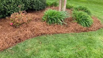 Lawn Maintenance for LawnTherapy in Lawrenceville, VA