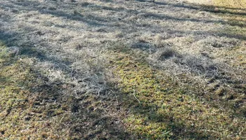 Land Clearing for Gibson Grade Works in Towns County, GA