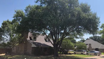 Tree Trimming for Twin Oak Solutions in Carrollton, TX