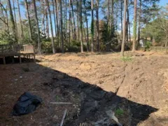 Tree Removal for Thompson Tree Climbers, LLC in Lexington, SC