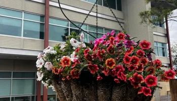 Commercial Maintenance/Installs for Urban Lawn & Landscape in Oklahoma City, OK
