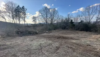 Tree Removal for Complete Care in Cumberland Gap, TN