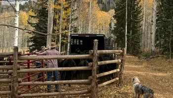 Fence Installation for Burton Fencing in Parowan, UT