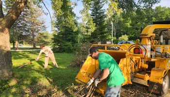 Tree Removal for Canopy Tree Service in Kenosha, WI