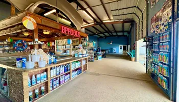 Inground Gunite Swimming Pools for Backyard Paradise Pools! in Splendora, TX