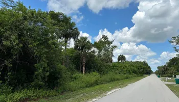 Land Clearing for McLeran in Naples, FL