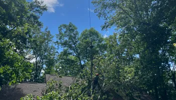 Tree Trimming for DIAZ TREE in Stafford, VA