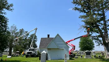 Tree Removal for Dittmer Tree Service in Davenport, IA