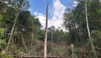Land Clearing for Dutch Mountain Excavating in Sevierville, TN