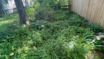 Weekly Mowing Service for Ardisi Property Maintenance LLC in Poughkeepsie, NY 