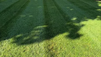 Mowing for Grandview Lawn Care in Norwood, NC