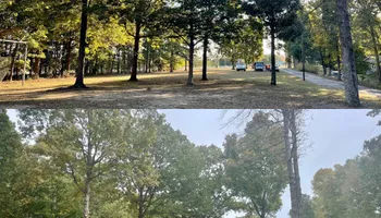 Tree Removal for Ross Family Tree Service LLC  in Hohenwald, TN