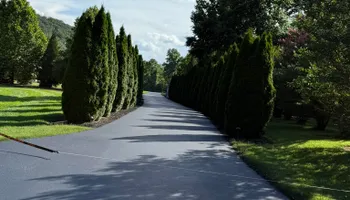 Driveway Paving for Asphalt Animals in Sevierville, TN