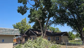 Tree Removal for Langston Tree & Landscape LLC in Canon City, CO