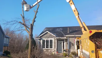 Tree Care for Buffalo Family Tree Care in Buffalo, MN