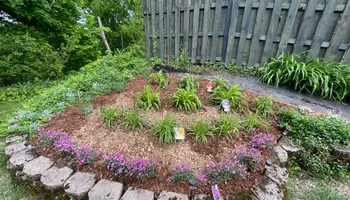 Weekly Mowing Service for Ardisi Property Maintenance LLC in Poughkeepsie, NY 