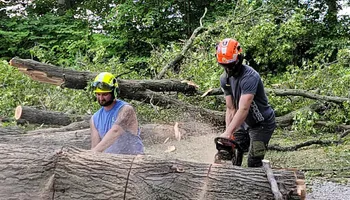 Tree Removal for DGD Outdoor Services LLC in Howell, MI
