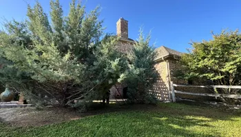 Tree Removal for Year Round Trees & Concrete Inc. in Fort Worth, TX