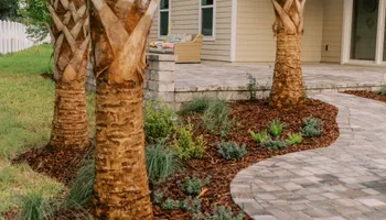 Landscape Lighting for Pro Designs Landscaping in Jacksonville, FL