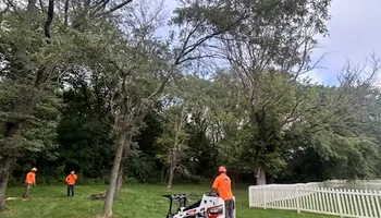 Tree Removal for Cross Family Tree Service in Kearney, MO
