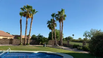 Fall and Spring Clean Up for Oliver L. Palm & Tree services in Yuma, AZ