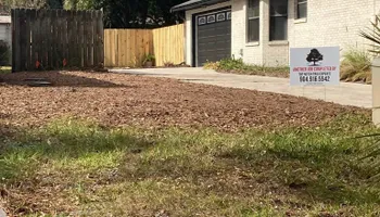 Tree Removal for Top Notch Tree Experts in Orange Park, FL