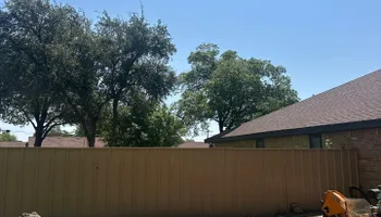 Tree Removal for Compas Cleanup in McCamey, TX