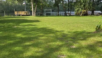 Lawn maintenance for Down & Dirty Lawn Svc  in Tallahassee, FL