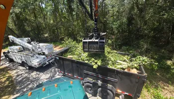 Tree Removal for Near Me Tree Service, Inc. in DeLand, FL