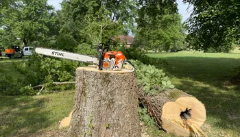 Tree Removal for Tree Fellers in Sumner County, TN