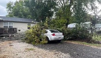 Tree Removal for Ross Family Tree Service LLC  in Hohenwald, TN