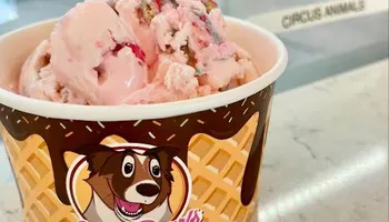 Our Locations for Sweet Pearl's Ice Cream in Garland, TX