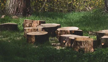 Tree Removal for Hawkins Tree Service & Land Management in Richmond Hill, GA