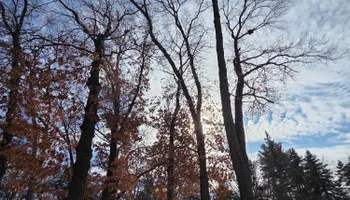 Snow Removal  for K and Z Tree Care in Isanti County, MN