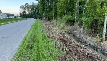 Land Clearing for Untamed Services in Shawboro, NC
