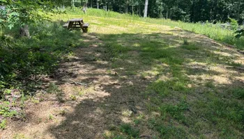 Land Clearing for D&J Land Works in Hurricane Mills, TN