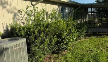 Mowing for Young's Lawn Services LLC in Ocala, FL