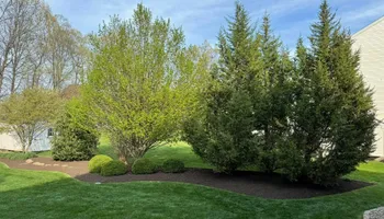 Lawn Maintenance for The FAAR Group INC in Chalfont, PA