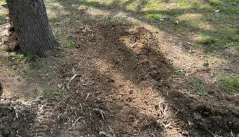Stump Removal for Conrad's Stump Removal in Columbus, IN
