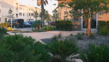 Landscape Lighting for Pro Designs Landscaping in Jacksonville, FL