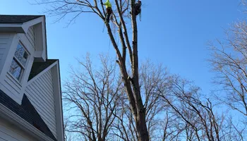 Tree Removal for Village Tree Service  in Whitestown, IN