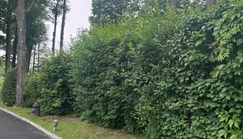 Mowing for Guaman’s Landscaping in Waterbury, CT