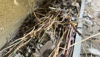 Home-Property Maintenance for Premier Property Solutions in Modesto, CA
