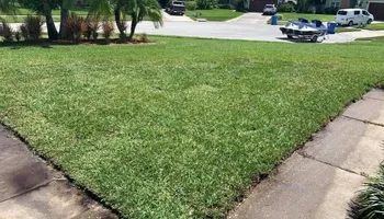 Landscape Design for Team Tolson Landscape in Tampa Bay, FL
