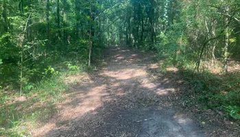 Land Clearing for South Mississippi Land Management LLC in Columbia, Mississippi