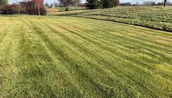 Tree Removal for K and Z Tree Care in Andover, MN